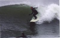 solsurf63 avatar