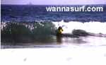 surf photo