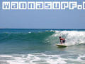 surf photo