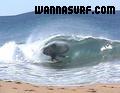 surf photo