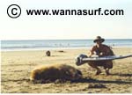 surf photo
