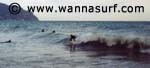 surf photo