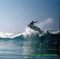 surf photo