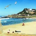 surf photo